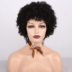 Amir Hair Synthetic Kinky Curly Short Afro Wig for Women - Black & Brown Fluffy Curls - Free Delivery Worldwide only at Flexi Africa