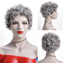 Amir Short Grey Afro Kinky Curly Wig Women Synthetic Hair Wigs With Natural Short Bob Wigs - Free Delivery Worldwide only at Flexi Africa