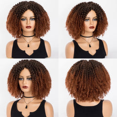 Chic Afro Kinky Curly Ombre Wig: Synthetic, Glueless, Ideal for Black Women - Flexi Africa - Flexi Africa offers Free Delivery Worldwide - Vibrant African traditional clothing showcasing bold prints and intricate designs